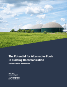 The Potential for Alternative Fuels in Building Decarbonization